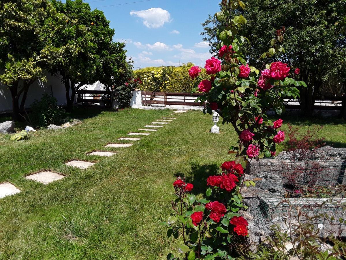 Quinta Camargue Bed and Breakfast Cela Velha Εξωτερικό φωτογραφία