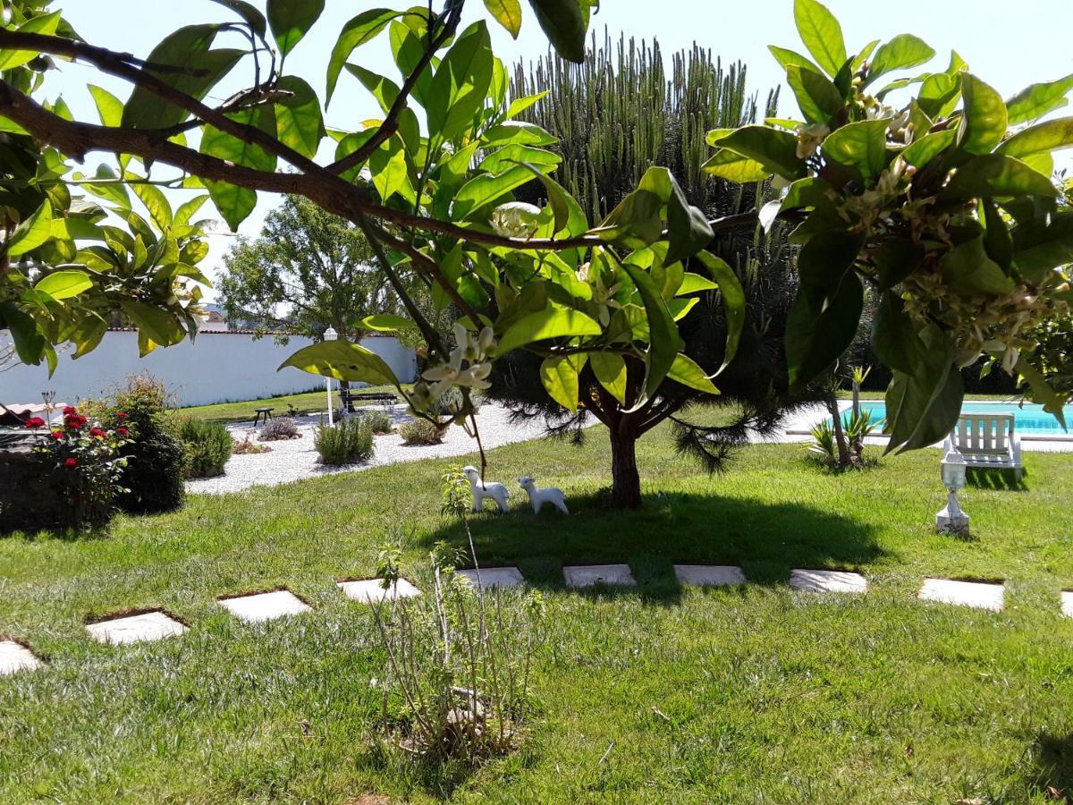 Quinta Camargue Bed and Breakfast Cela Velha Εξωτερικό φωτογραφία