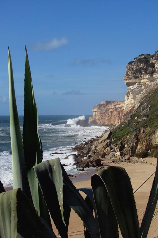 Quinta Camargue Bed and Breakfast Cela Velha Εξωτερικό φωτογραφία
