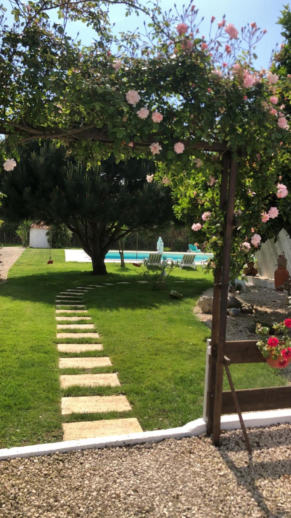 Quinta Camargue Bed and Breakfast Cela Velha Εξωτερικό φωτογραφία