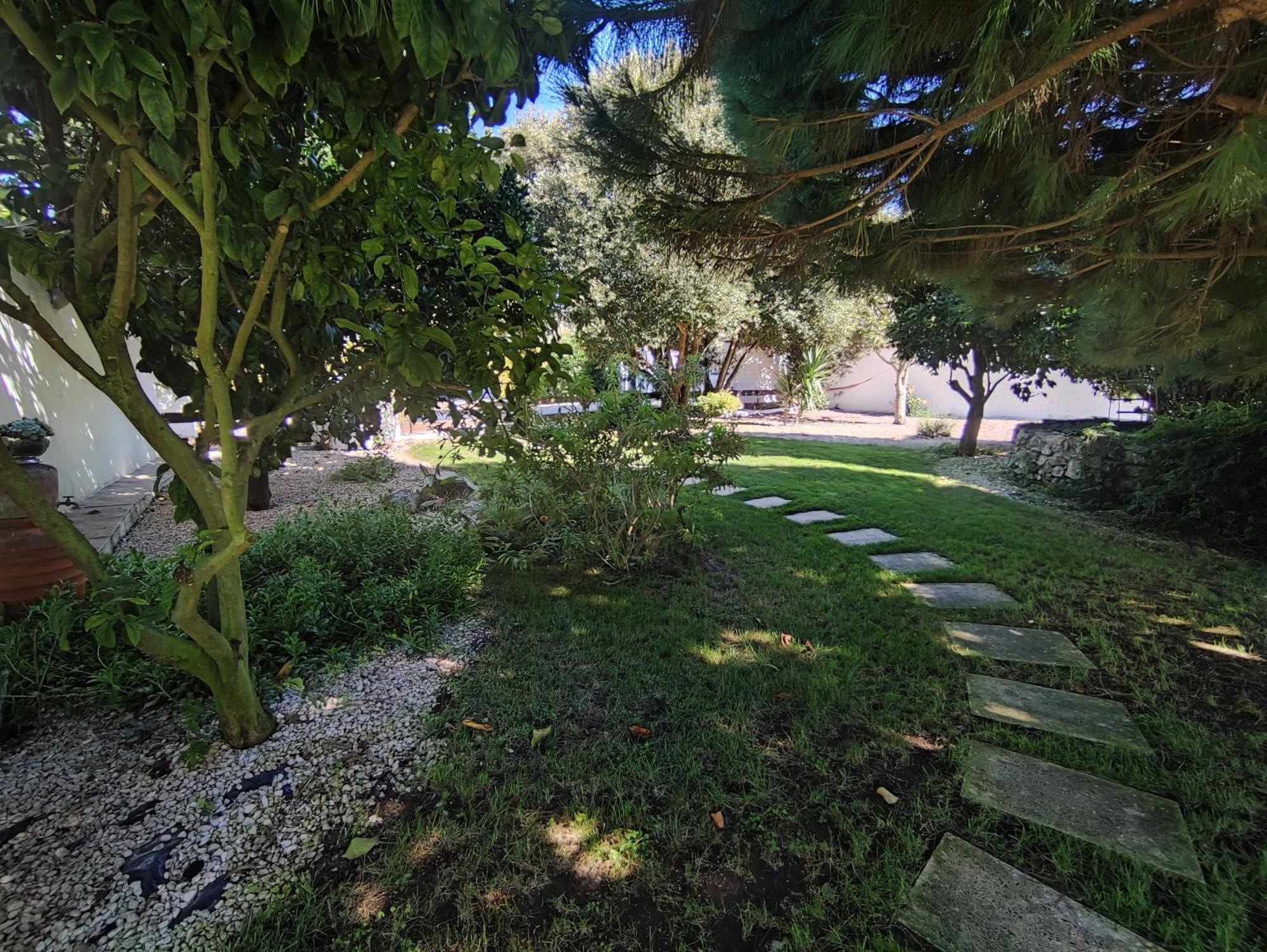Quinta Camargue Bed and Breakfast Cela Velha Εξωτερικό φωτογραφία